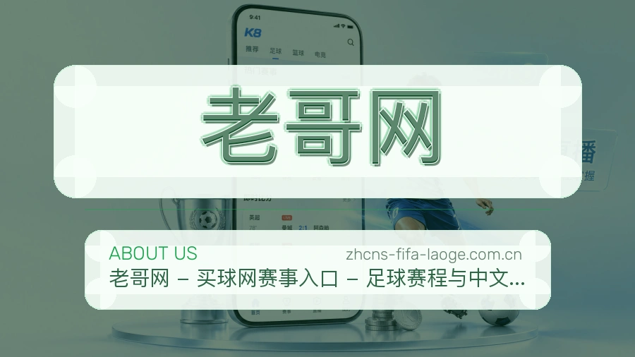 老哥网发展介绍